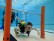 Bild von einem Schüler im Schwimmbad  beim Tauchen in Tauchausrüstung.
