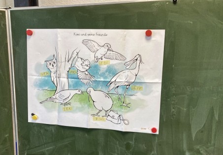 Bild von V&ouml;geln: Anhand von V&ouml;geln sehen wir die St&auml;rken und Gemeinsamkeiten - nicht die Unterschiede oder die was man nicht kann!