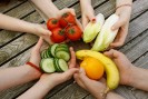 Bild von 8 Händen, die verschieden Obst- und Gemüsesorten festhalten.